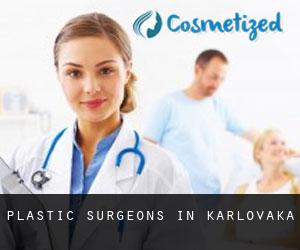 Plastic Surgeons in Karlovačka