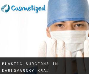 Plastic Surgeons in Karlovarský Kraj
