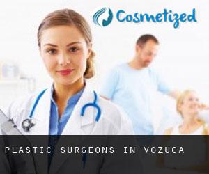 Plastic Surgeons in Vozuća