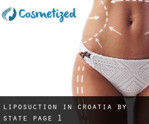 Liposuction in Croatia by State - page 1