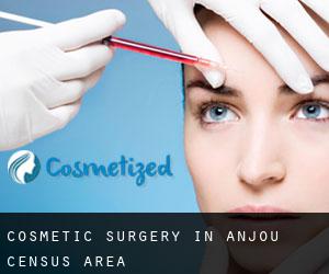 Cosmetic Surgery in Anjou (census area)