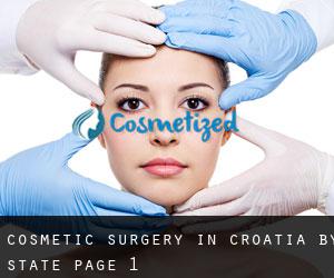 Cosmetic Surgery in Croatia by State - page 1