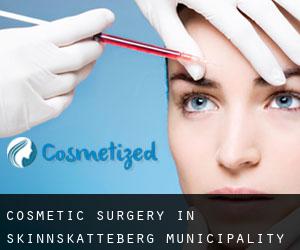 Cosmetic Surgery in Skinnskatteberg Municipality