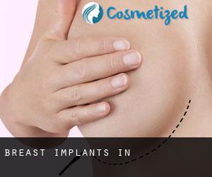 Breast Implants in 연천군