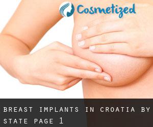 Breast Implants in Croatia by State - page 1
