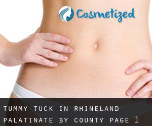 Tummy Tuck in Rhineland-Palatinate by County - page 1