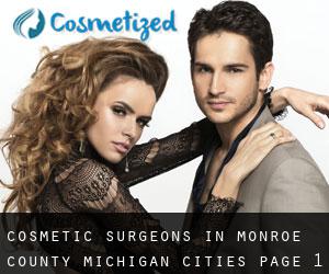 cosmetic surgeons in Monroe County Michigan (Cities) - page 1
