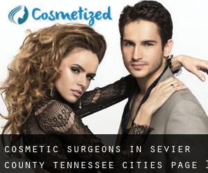 cosmetic surgeons in Sevier County Tennessee (Cities) - page 1