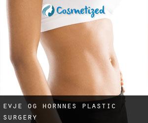 Evje og Hornnes plastic surgery