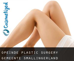 Opeinde plastic surgery (Gemeente Smallingerland, Friesland)