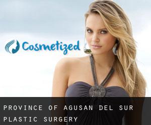 Province of Agusan del Sur plastic surgery