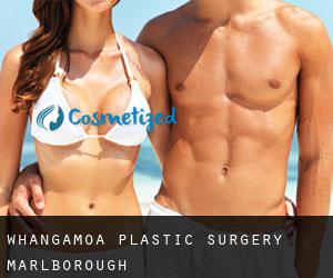 Whangamoa plastic surgery (Marlborough)