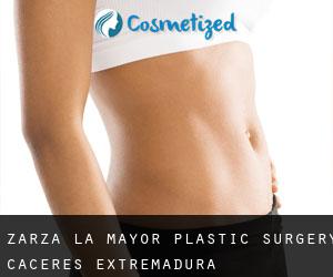 Zarza la Mayor plastic surgery (Caceres, Extremadura)