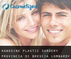 Agnosine plastic surgery (Provincia di Brescia, Lombardy)