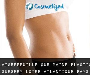 Aigrefeuille-sur-Maine plastic surgery (Loire-Atlantique, Pays de la Loire)