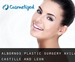 Albornos plastic surgery (Avila, Castille and León)