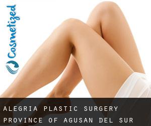 Alegria plastic surgery (Province of Agusan del Sur, Caraga)