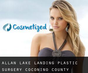 Allan Lake Landing plastic surgery (Coconino County, Arizona)