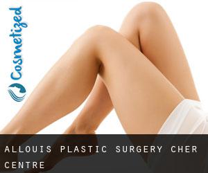 Allouis plastic surgery (Cher, Centre)