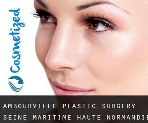Ambourville plastic surgery (Seine-Maritime, Haute-Normandie)