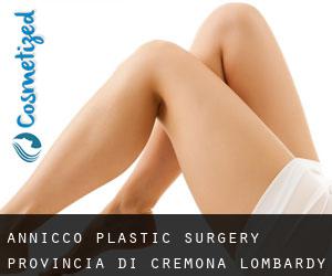 Annicco plastic surgery (Provincia di Cremona, Lombardy)