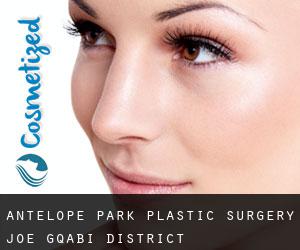 Antelope Park plastic surgery (Joe Gqabi District Municipality, Eastern Cape)