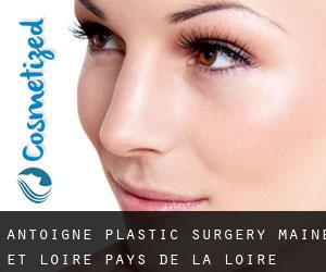Antoigné plastic surgery (Maine-et-Loire, Pays de la Loire)