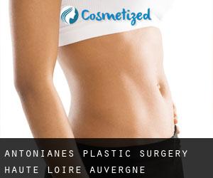 Antonianes plastic surgery (Haute-Loire, Auvergne)