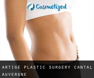 Artige plastic surgery (Cantal, Auvergne)