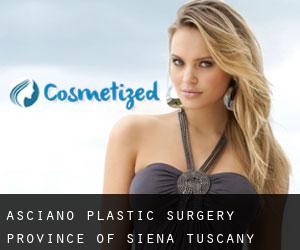 Asciano plastic surgery (Province of Siena, Tuscany)