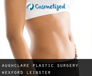 Aughclare plastic surgery (Wexford, Leinster)