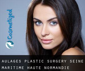 Aulages plastic surgery (Seine-Maritime, Haute-Normandie)