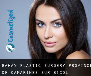 Bahay plastic surgery (Province of Camarines Sur, Bicol)