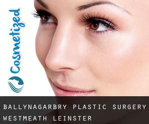Ballynagarbry plastic surgery (Westmeath, Leinster)