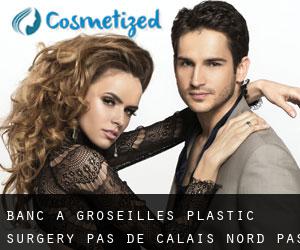 Banc à Groseilles plastic surgery (Pas-de-Calais, Nord-Pas-de-Calais)