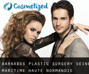 Barnabos plastic surgery (Seine-Maritime, Haute-Normandie)