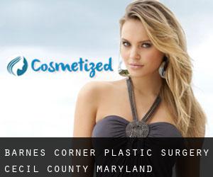 Barnes Corner plastic surgery (Cecil County, Maryland)