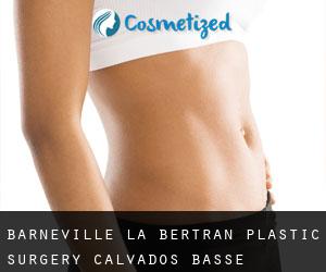 Barneville-la-Bertran plastic surgery (Calvados, Basse-Normandie)