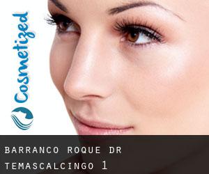 Barranco Roque Dr (Temascalcingo) #1