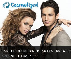 Bas le Naberon plastic surgery (Creuse, Limousin)
