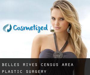 Belles-Rives (census area) plastic surgery