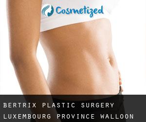 Bertrix plastic surgery (Luxembourg Province, Walloon Region)