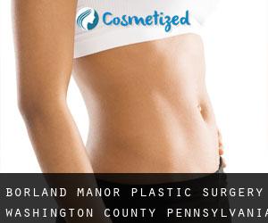 Borland Manor plastic surgery (Washington County, Pennsylvania)