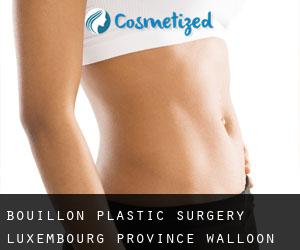 Bouillon plastic surgery (Luxembourg Province, Walloon Region)