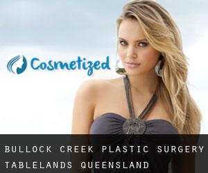 Bullock Creek plastic surgery (Tablelands, Queensland)