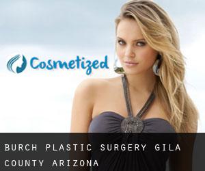 Burch plastic surgery (Gila County, Arizona)