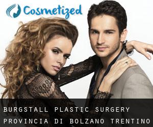 Burgstall plastic surgery (Provincia di Bolzano, Trentino-Alto Adige)