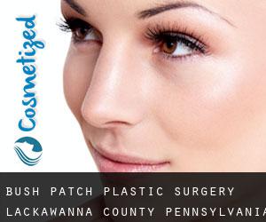 Bush Patch plastic surgery (Lackawanna County, Pennsylvania)