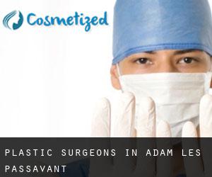 Plastic Surgeons in Adam-lès-Passavant