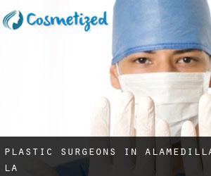 Plastic Surgeons in Alamedilla (La)